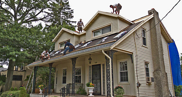 Best Gutter Installation and Roofing  in Spring Valley, AZ