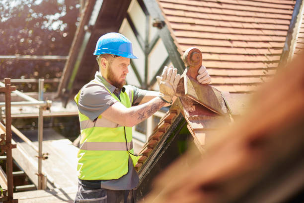 Best Roof Gutter Cleaning  in Spring Valley, AZ